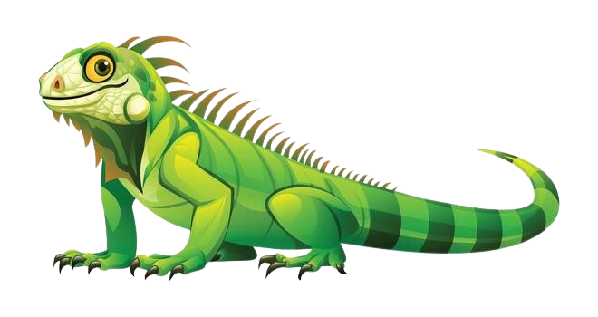 Iguana